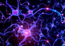 rete neurale
