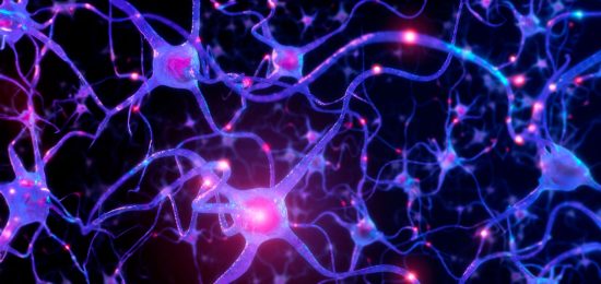 rete neurale