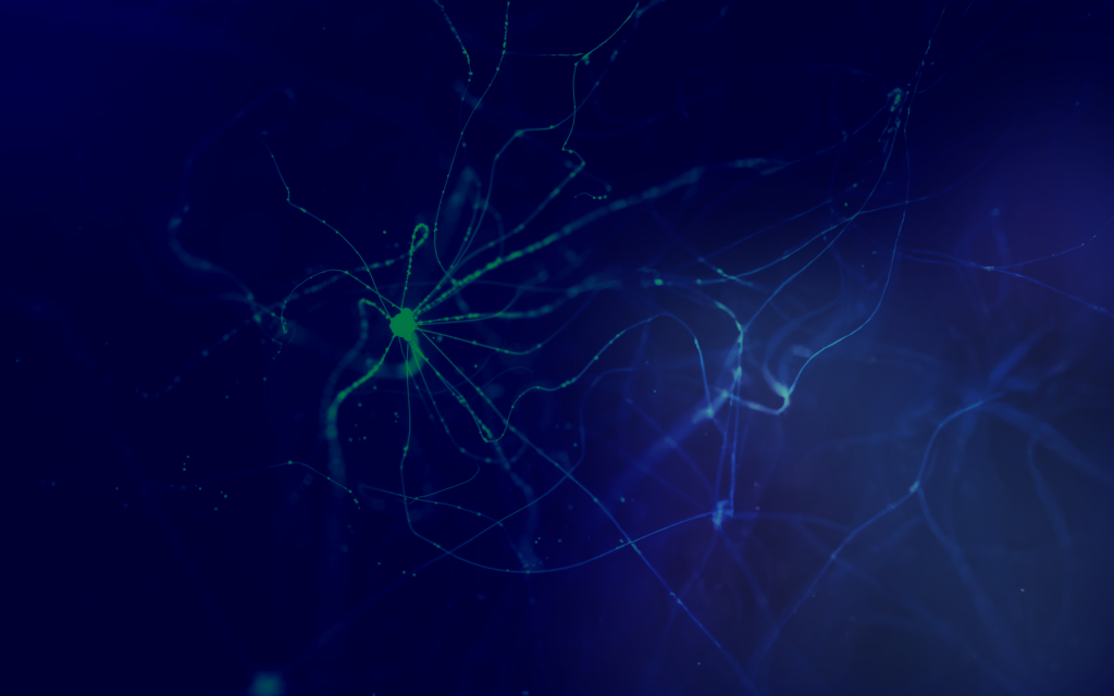 neural network image neural network image