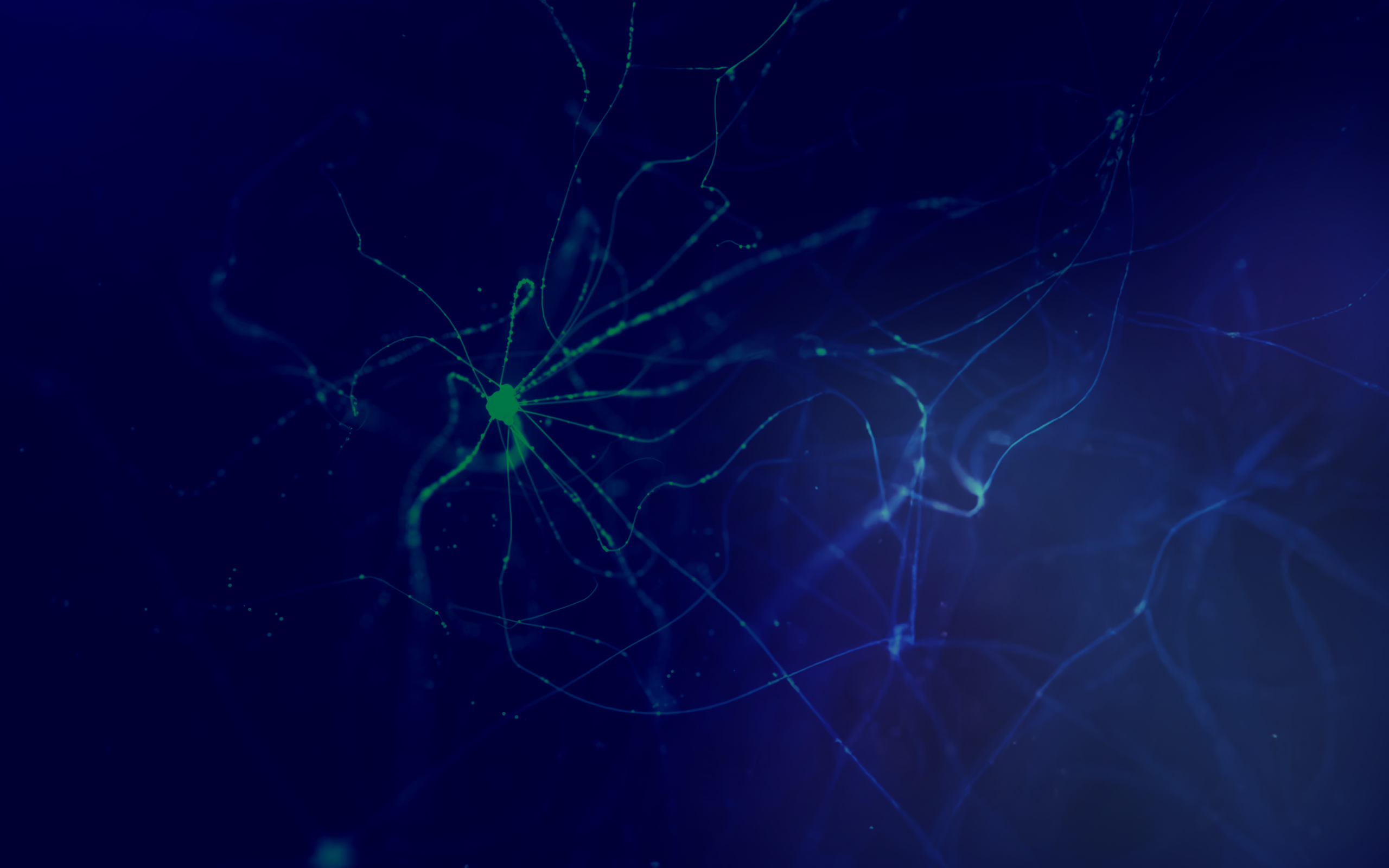 neural network image