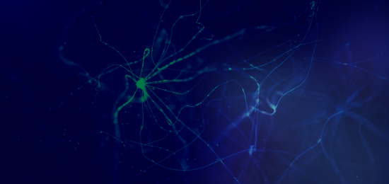 Immagine rete neurale